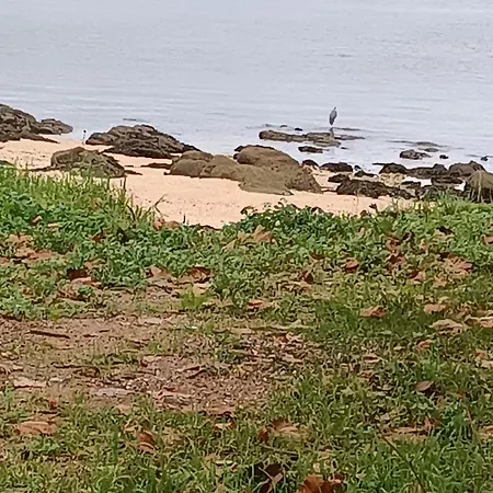 Mirador Mar De Castelao, 1ª Linea De Playa Urbana