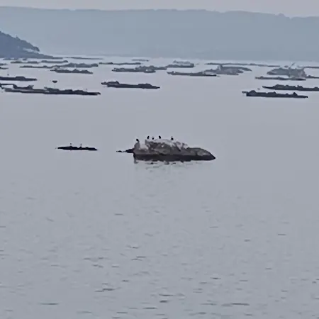 Mirador Mar De Castelao, 1ª Linea De Playa Urbana Apartamento *